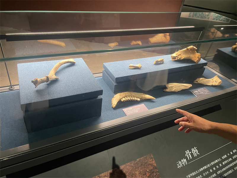 1756195116452523.jpg IMG_2087.jpg