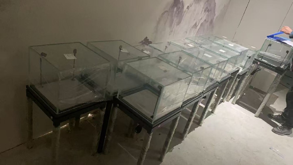 1767596713168220.jpg 1767596713168220.jpg